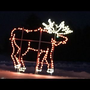 Meet your Posher, Susie